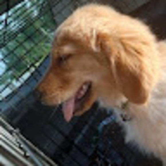 Meet your Posher, Jess - Picture 1 of 1